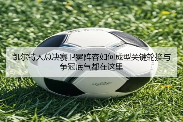 img_1782104364349_114_2_917.jpg